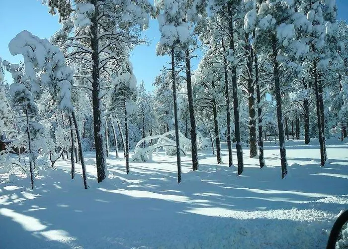 Hampton & Show Low-pinetop Hotel Show Low